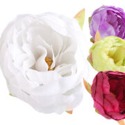 Peonia wyrobowa M814