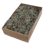 Mech Grey Moss 150g 495311 (22783)