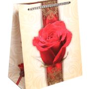 Torebka laminowana T-8L MIX PAW 20x24x11cm