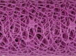 fioletowy (violet)