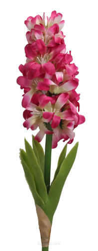 Hiacynt z gumowym liściem 44cm HHC631/636/637/638