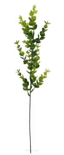 Gałązka bukszpanu A07 52cm