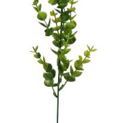 Gałązka bukszpanu A07 52cm