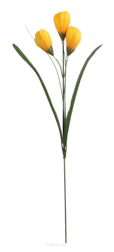 Krokus potrójny na łodydze LS015287 49cm
