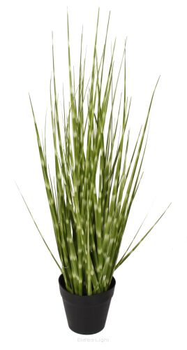 Trawa w doniczce Zebrino A0047 50cm