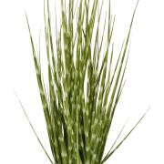 Trawa w doniczce Zebrino A0047 50cm