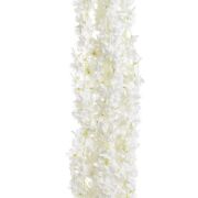 Wiśnia kwitnąca zwis'5 219CAN16-656 110cm