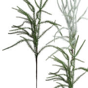 Widłak jałowcowy 50cm A626