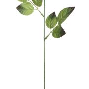 Łodyga do róży KDGE501 69cm