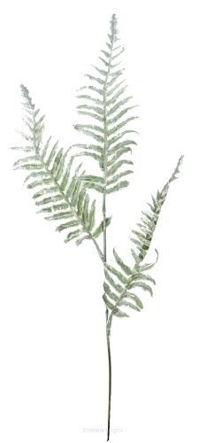 Liść paproci gumowany P25-28/9 58cm