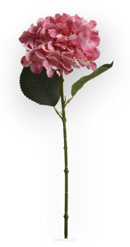 Hortensja gałązka T129-24-1411 h40cm / ø13cm