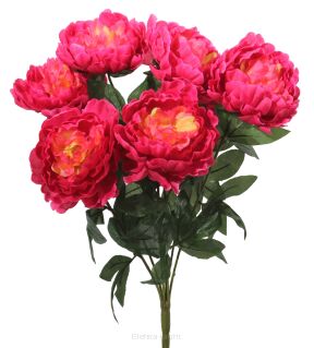 Bukiet piwonii RF-9613/7 7' 50cm