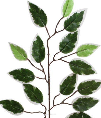 Liść beniamina gumowany FAK15 / L26 / FCF033 / FCF032 / FCF123 61cm