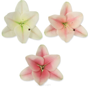 Lilia wyrobowa HD9245H 13cm