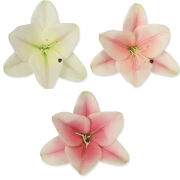 Lilia wyrobowa HD9245H 13cm