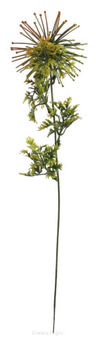 Dodatek czosnek Z6464 46cm